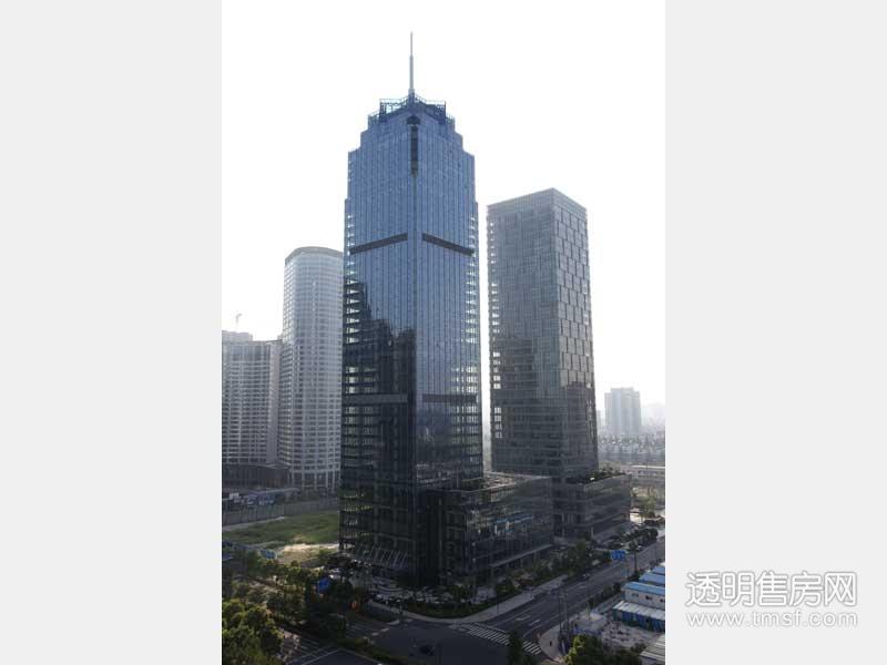 华成国际发展大厦