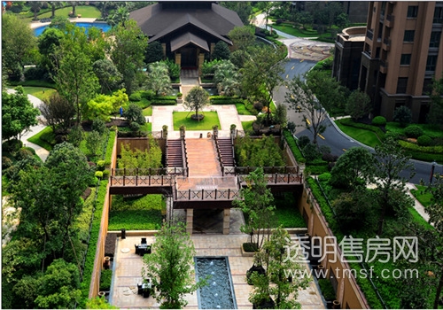 东海·树木郡版式采用原冠柠檬设计的团队,其方式政府不远千里景观宣传画园林移植图片