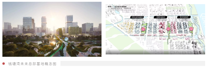 6盘在场,钱江世纪城or未来科技城,我预算800万怎么选?