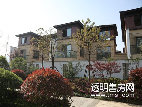 春江美庐作为悦城大盘的首推组团,项目由瞰景高层,庭院别墅两大组团