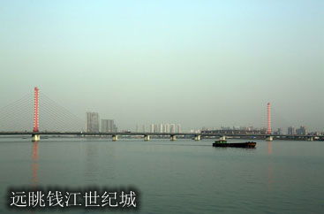 远眺钱江世纪城 
