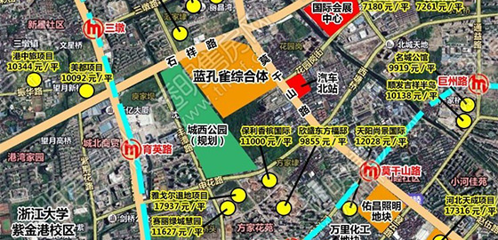 蓝孔雀综合卫星图