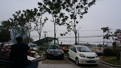 家门口就是地铁2号线飞虹路站
