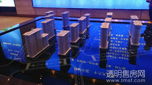 http://www.tmsf.com/info/news_newsinfo_1133171391_33_1.htm