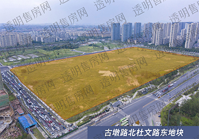 古墩路北杜文路东地块航拍图