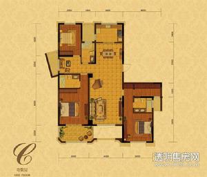 香槟国际公寓户型图 三室三厅三卫 171平米