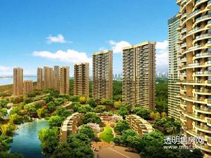 观澜时代国际花园效果图