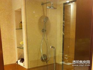 玖珑雅苑样板图