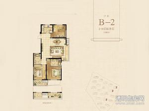田园山水里户型图 B-2户型三房两厅119㎡