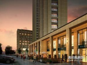 江南望庄效果图
