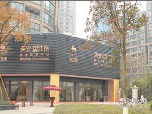 江南望庄实景图