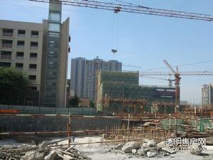 江南望庄实景图