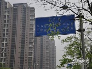 江南望庄周边图