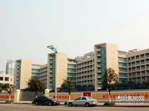 江南望庄周边图