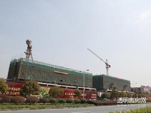 东方花城实景图