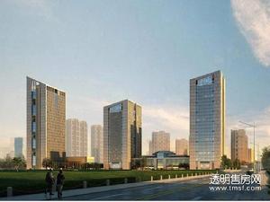 双湾国际城效果图