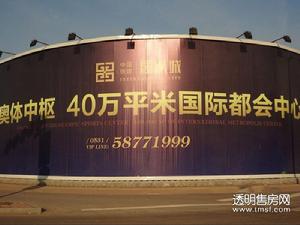 双湾国际城实景图