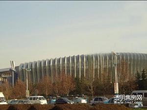 双湾国际城周边图