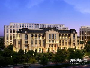 西溪诚园效果图