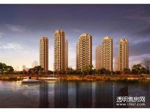 玫瑰之湾效果图