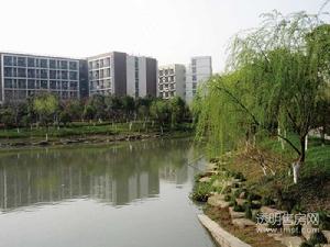 双湾国际城周边图