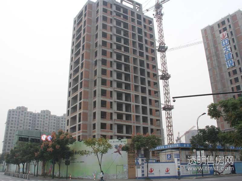 大河宸章公寓实景图