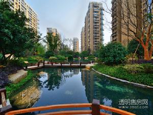 万家星城实景图