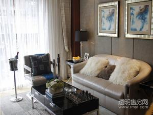 江南望庄样板图