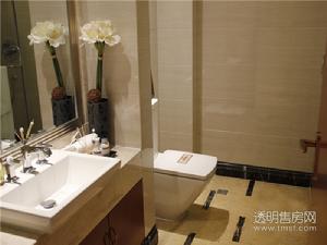 江南望庄样板图