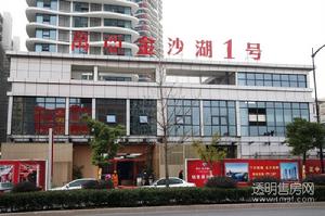 万亚名城实景图