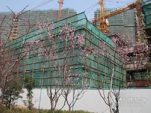 吉祥半岛花园实景图