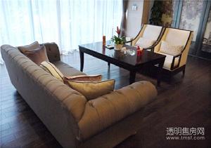 大河宸章公寓实景图
