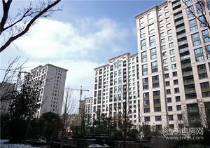 大河宸章公寓实景图