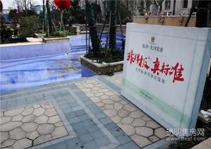 大河宸章公寓实景图
