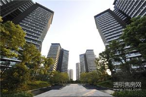 金都艺墅实景图