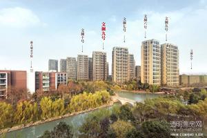 双湾国际城实景图