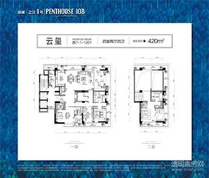 金都艺墅户型图 420方