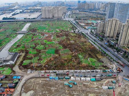 地块现状-图