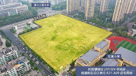 杭钱塘储出[2019]4号沿江宅地现状图