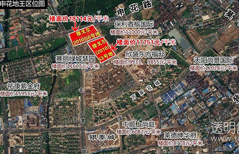 申花地块卫星图